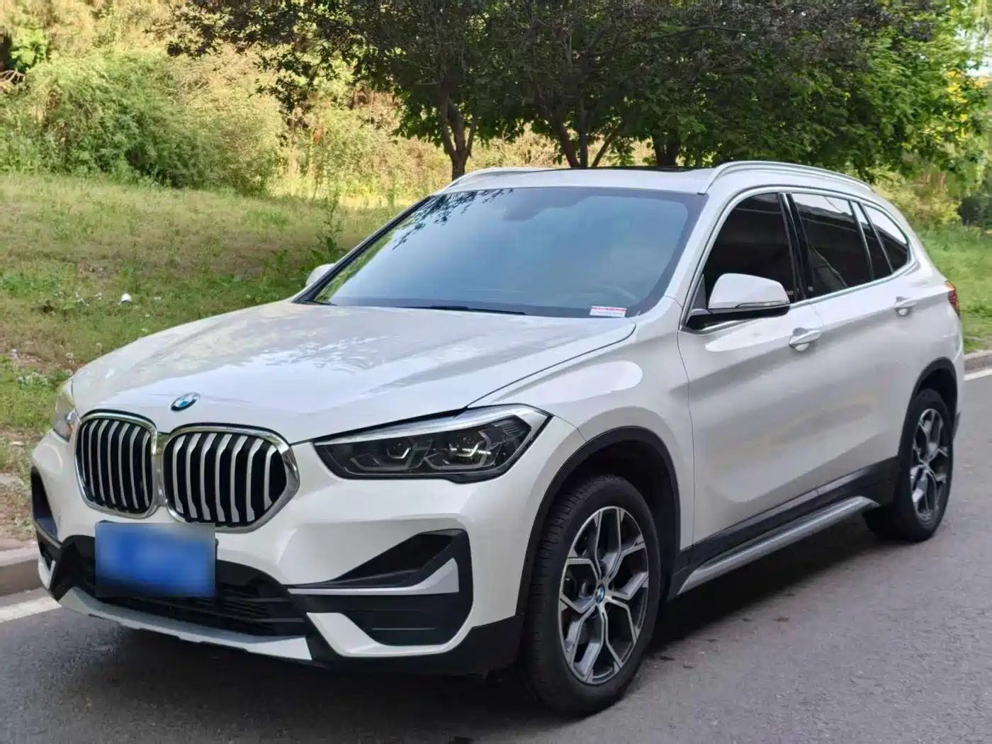 BMW X1 2020 sDrive20Li Premium Edition