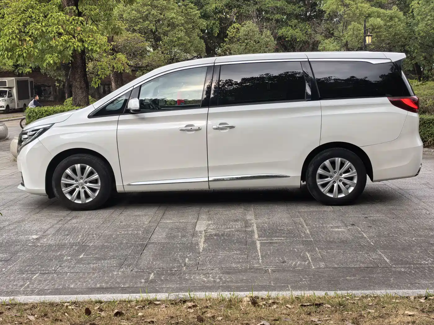 GAC Trumpchi Trumpchi M8 2020 390T Premium фото 4
