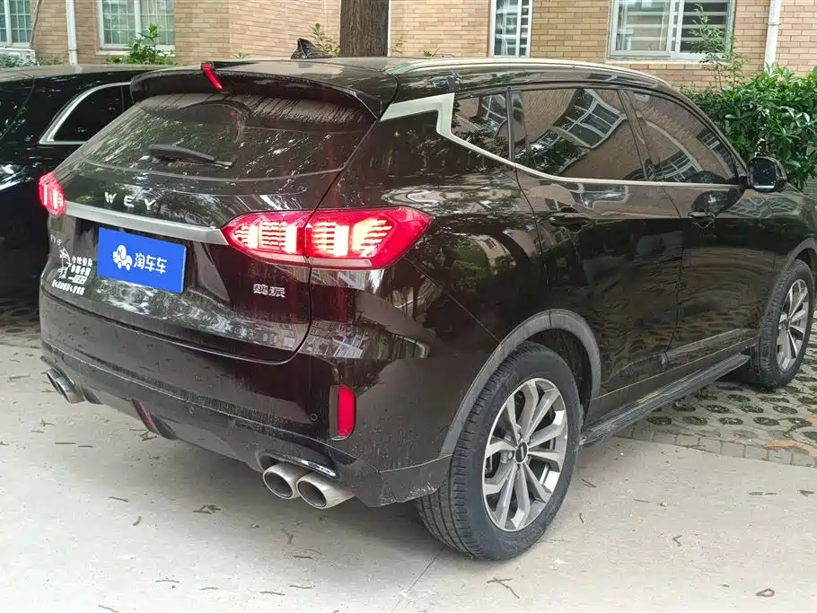 WEI PAI WEI BRAND VV6