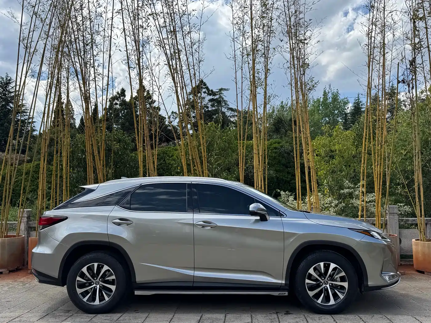 Фото 7 - Lexus RX