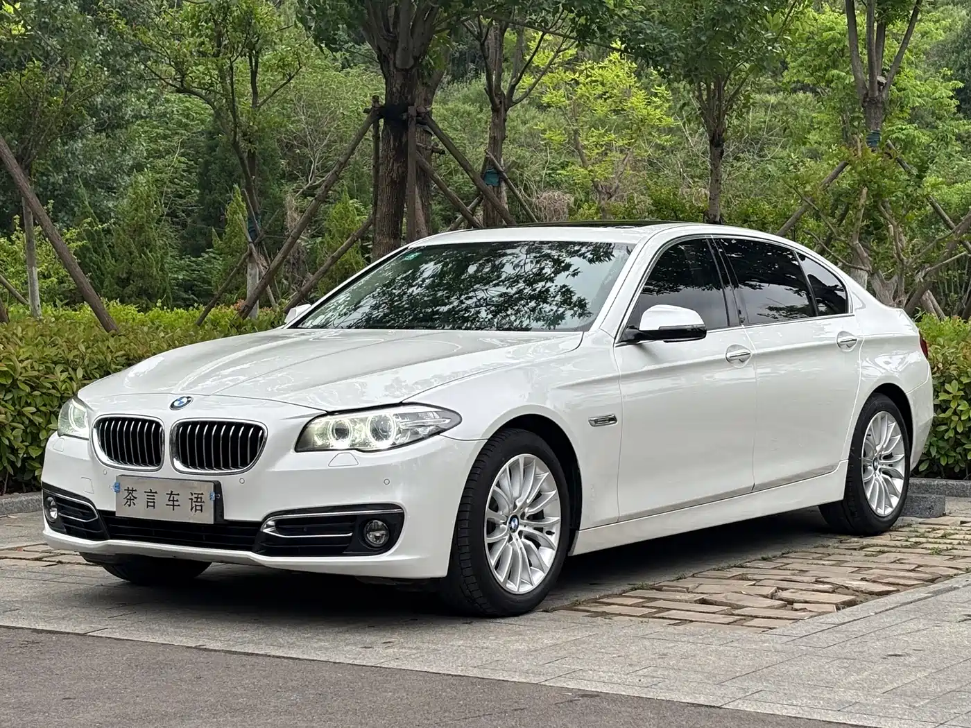 BMW 5 Series 2017 525Li Luxury Design Package
