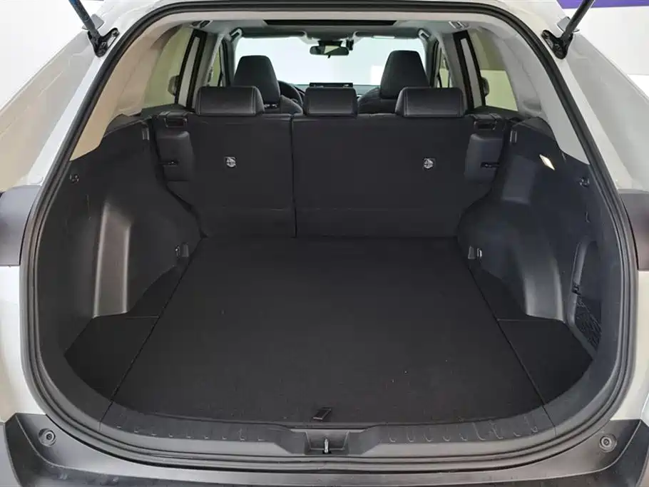 Toyota Wildlander 2023 Hybrid 2.5L E-CVT AWD Luxury PLUS Edition фото 4