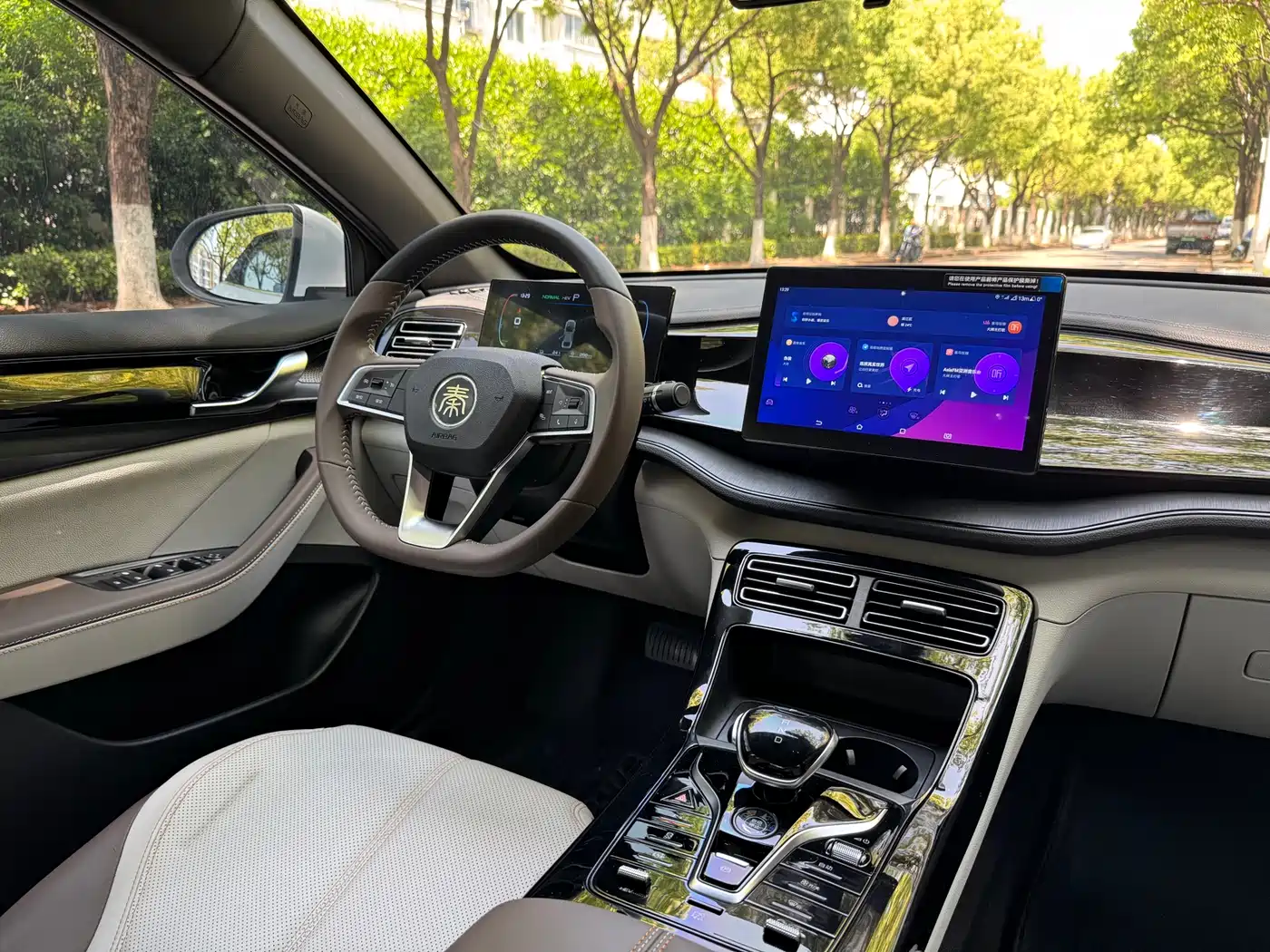 BYD Qin PLUS 2024 Glory Edition DM-i 55KM Leading фото 13