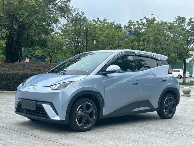 BYD Seagull Слава, 305km, Свобода