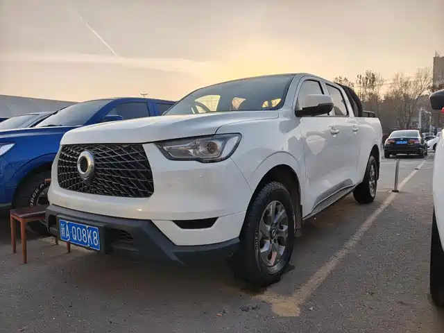 Great Wall Poer 2.0T, коммерческий, автомат, дизель, полный привод, Tea King, длинный кузов, GW4D20M