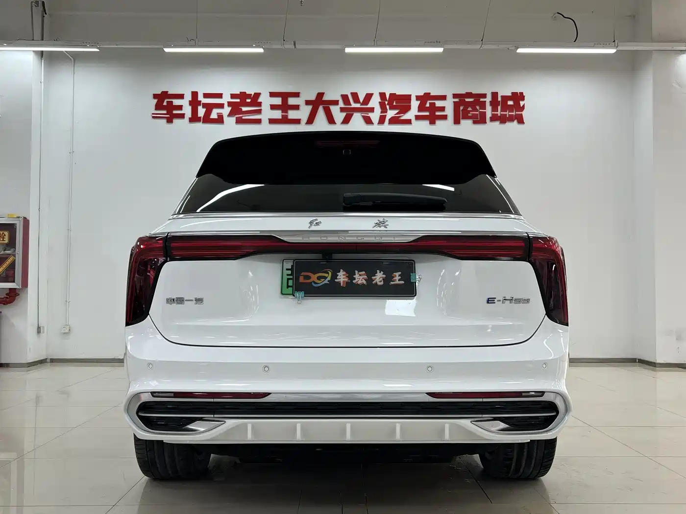 Hongqi HONGQI E HS9