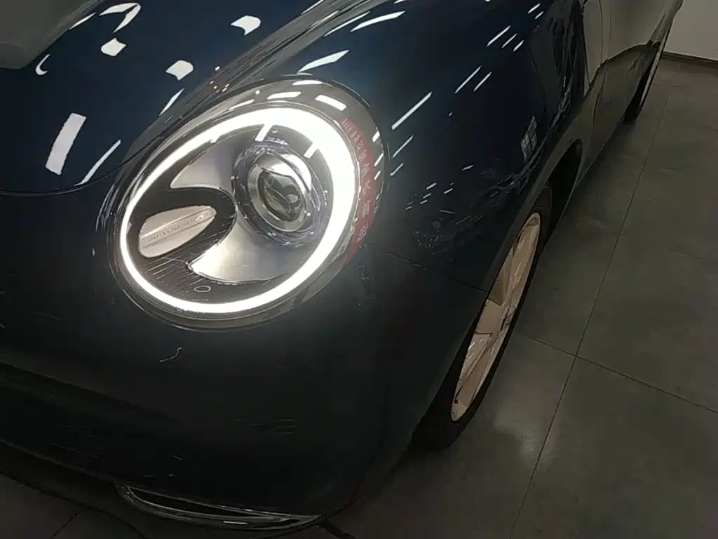 Ora Good Cat 2023 2023 401km Standard Range Luxury LFP