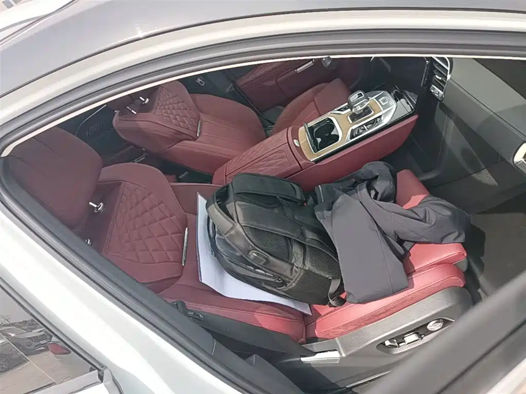 Hongqi E-HS9 2022 690km Qi Xiang Edition (6-seater) фото 25