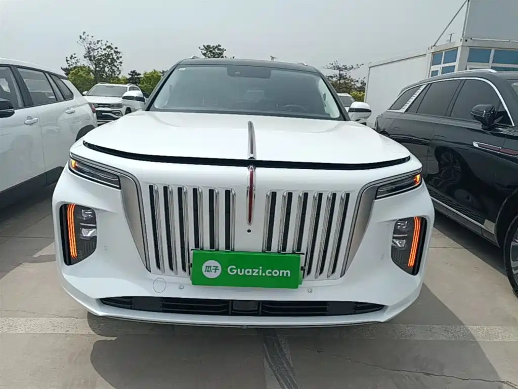 Hongqi E-HS9 2022 690km Qi Xiang Edition (6-seater) фото 3