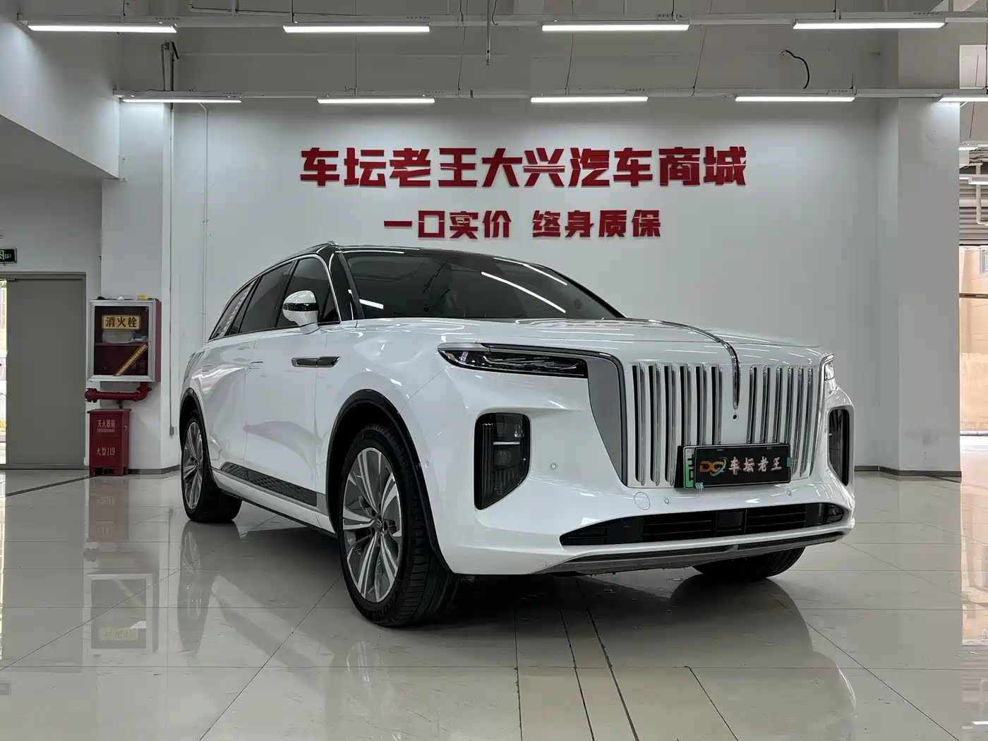 Hongqi HONGQI E HS9
