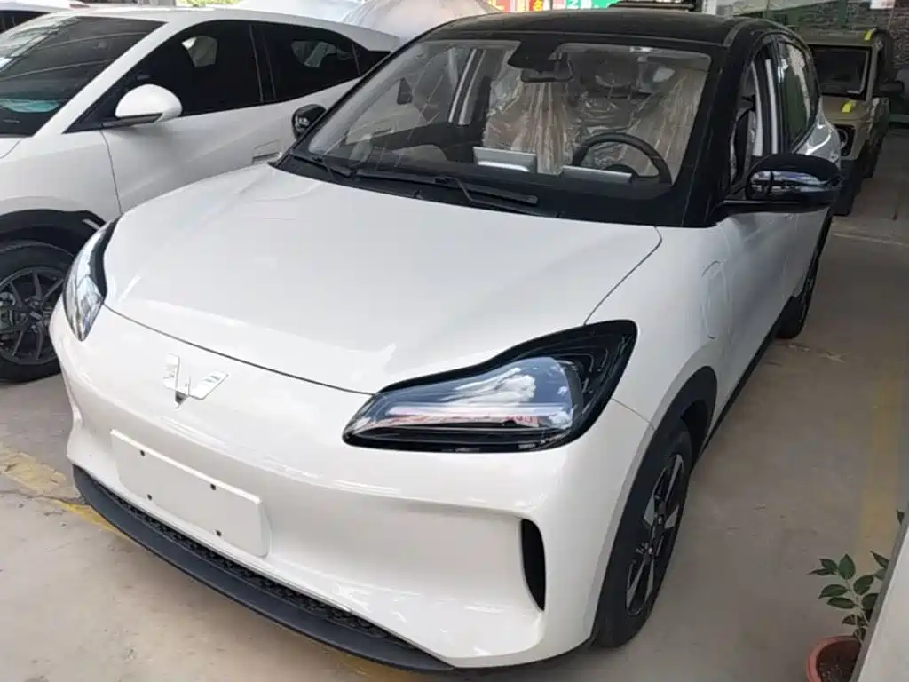 2026 Wuling Motors Wuling Binguo PLUS