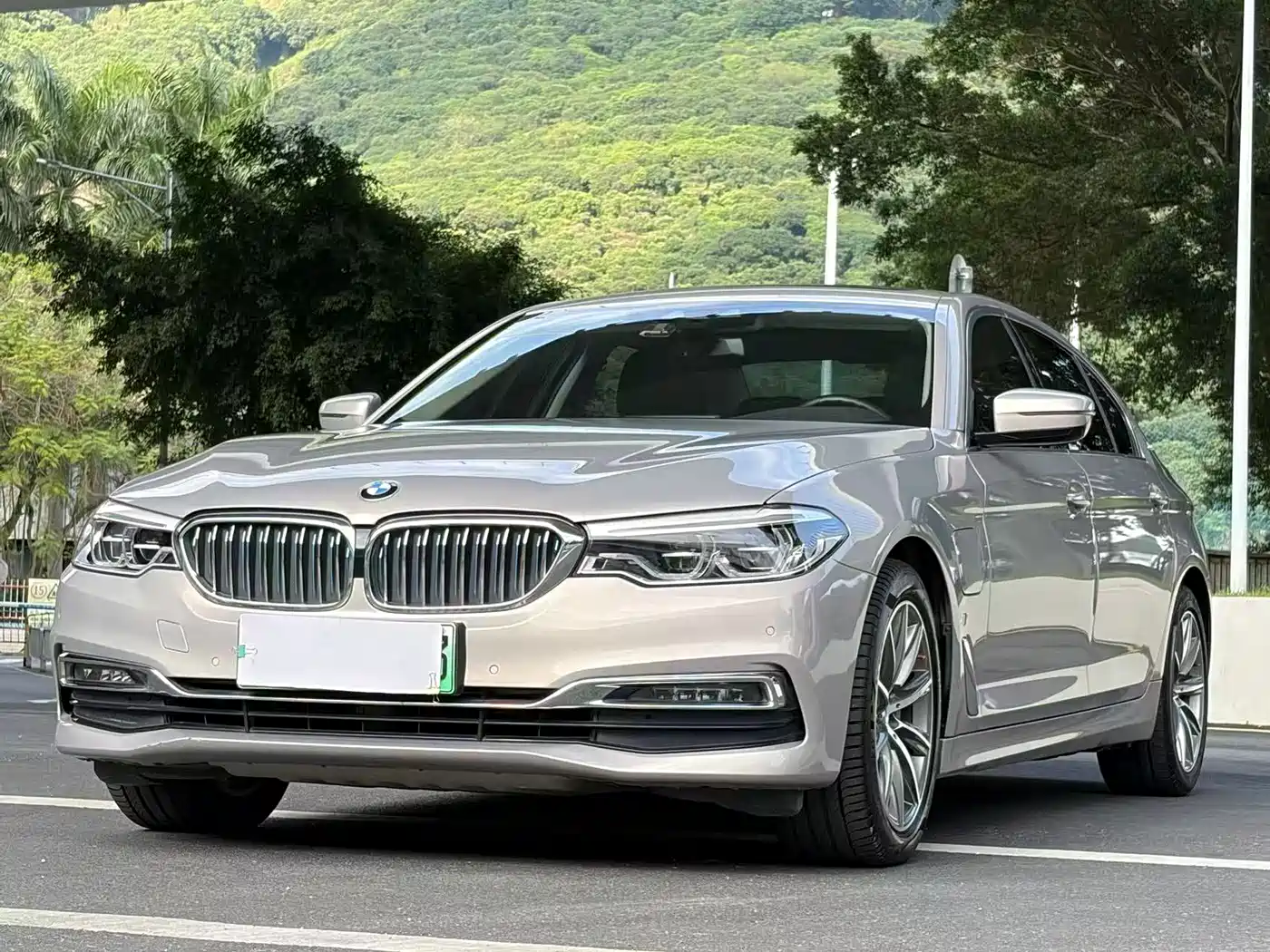 BMW 5 Series New Energy 2019 530Le Luxury Package