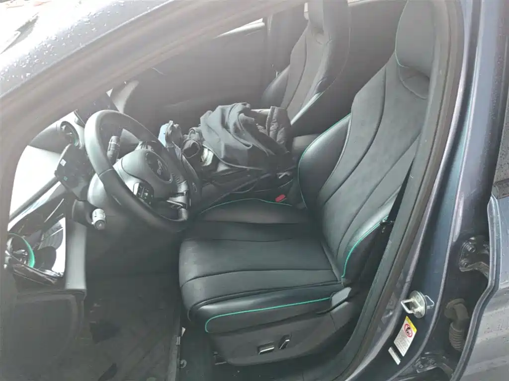 BYD Dolphin 2024 Glory Edition 420km Fashion Edition фото 15
