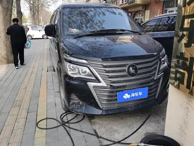 dongfeng lingzhi