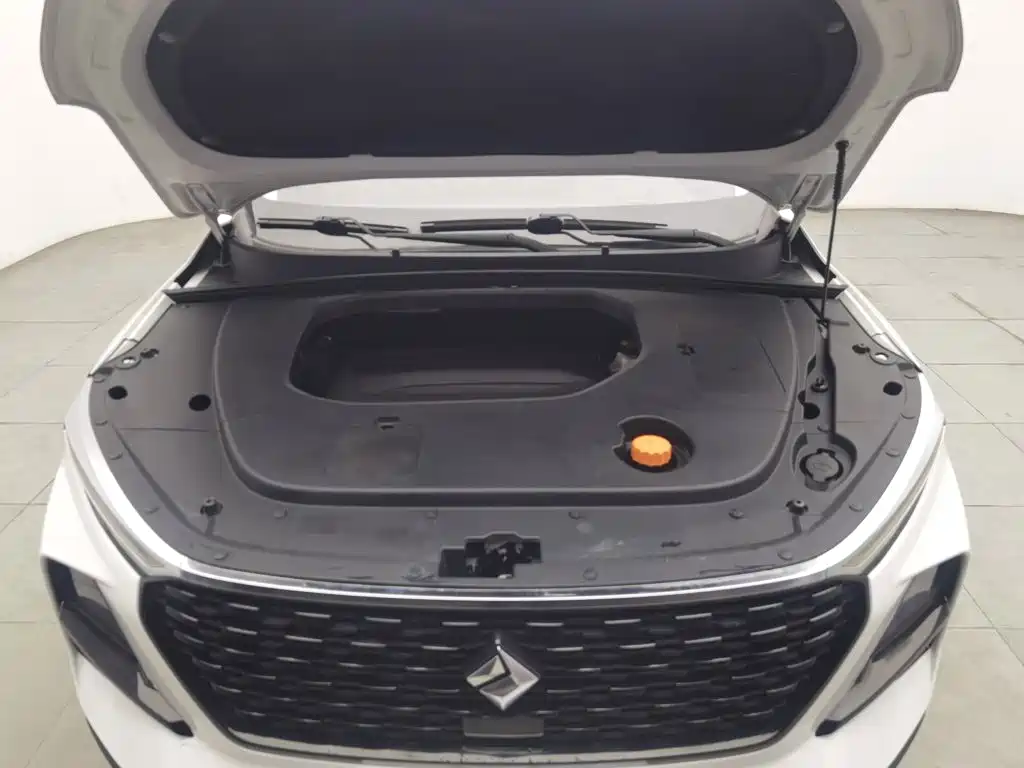 Baojun RS-3 2021 2020 1.5L Manual Smart Luxury