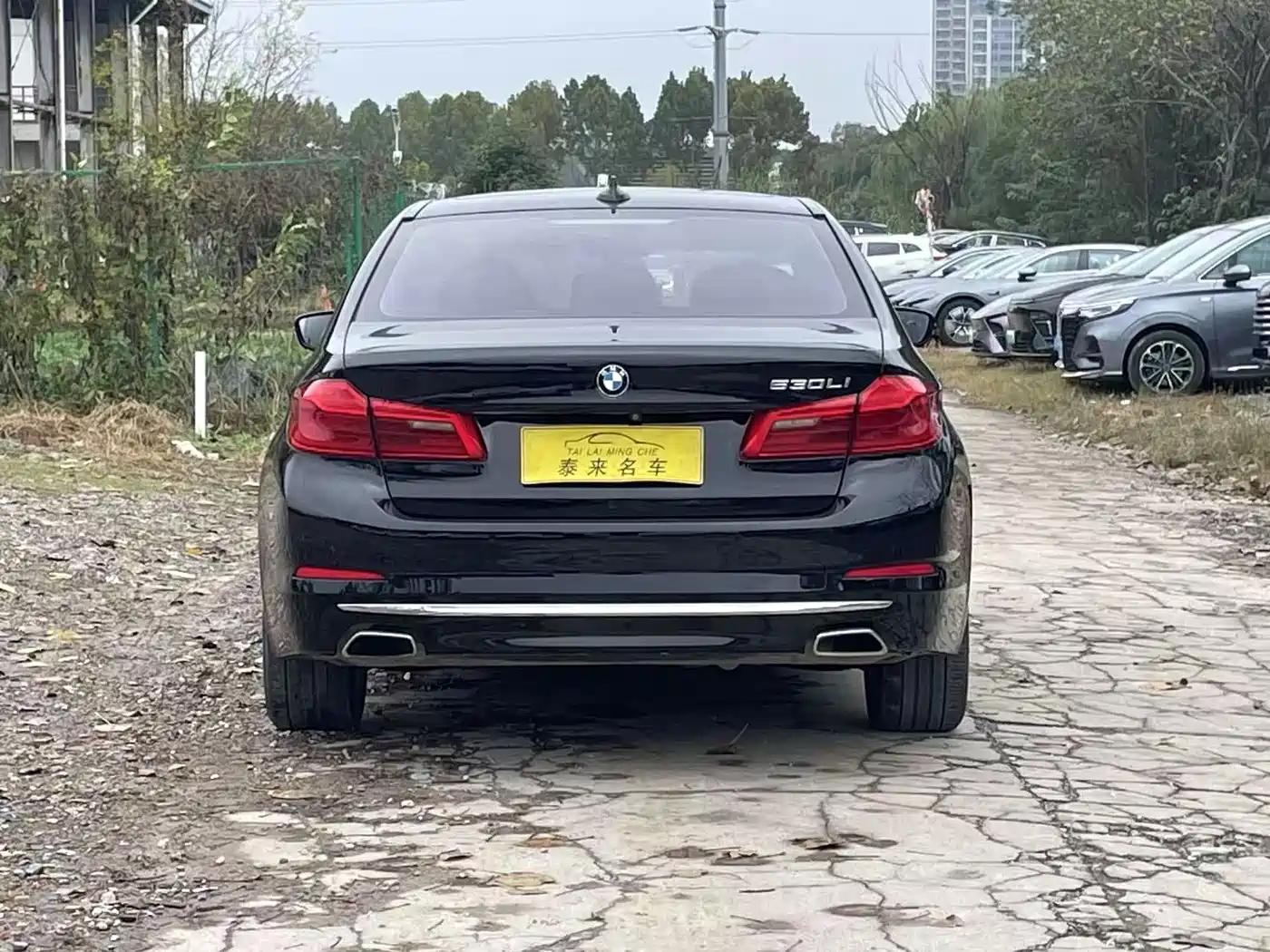 BMW 5 Series 2020 530Li Leading Luxury Package фото 8