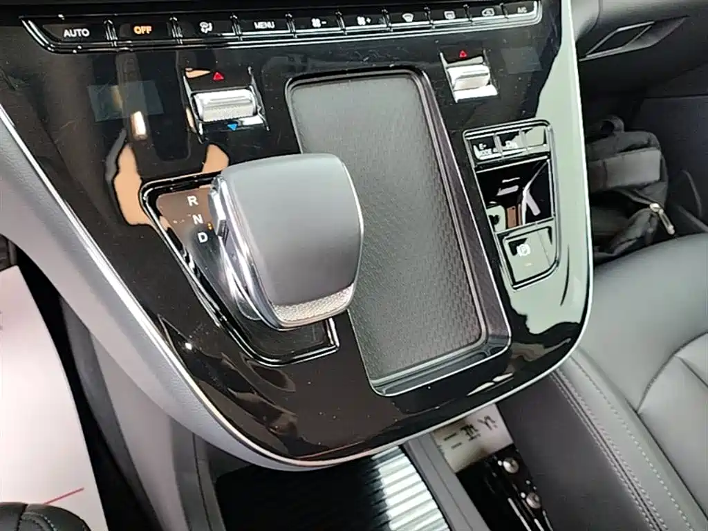 Hongqi HQ9 PHEV 2024 Model 2.0T AWD Business Edition фото 14