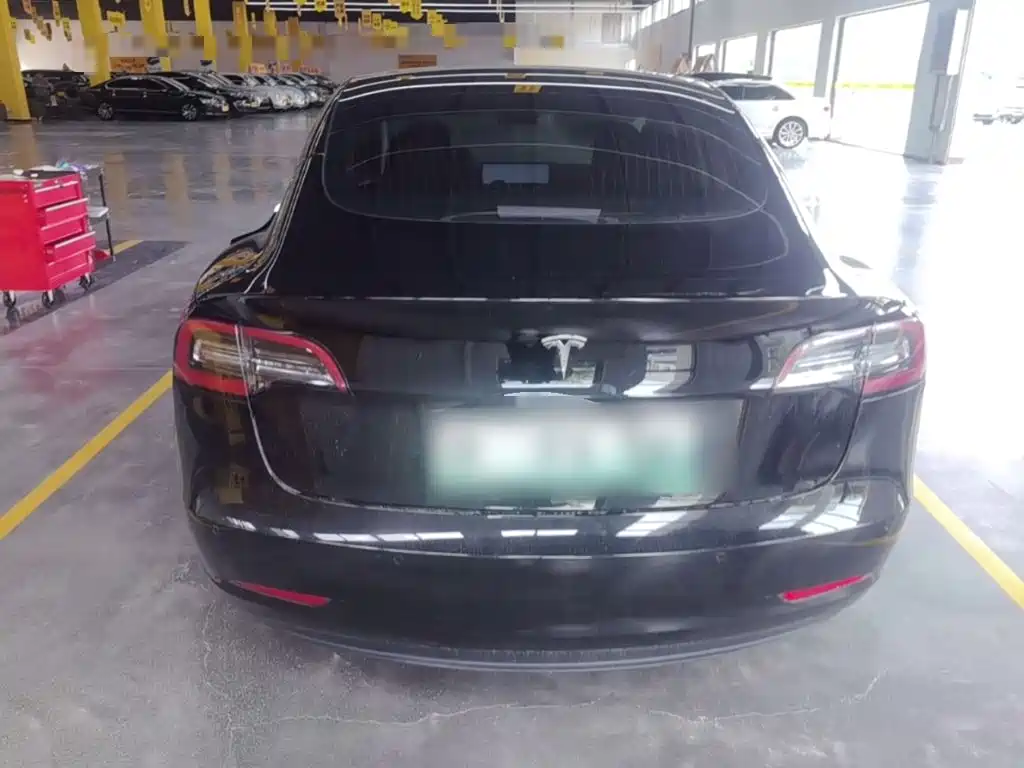 Tesla Model 3 2020 2020 Standard Range Rear-Wheel Drive Upgrade