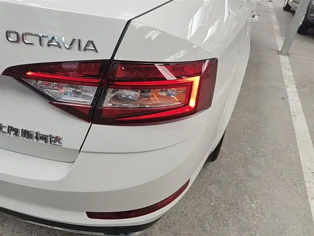 Škoda Octavia 2019 1.5L Automatic Luxury Edition фото 8