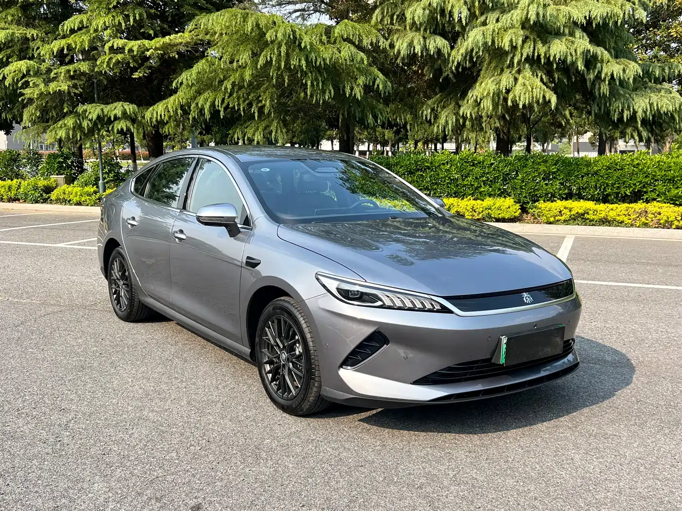 BYD Qin PLUS 2025 EV Smart Drive Edition 510KM Leading Type фото 2