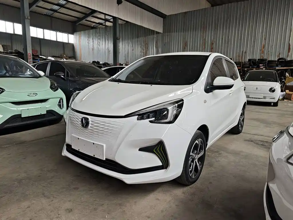 Changan Benben E-Star 2021 2020 Model Happy Edition (LFP 31.18kWh)