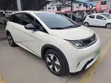 Фото 4 - BYD Dolphin