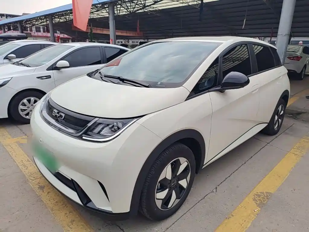 Фото 1 - BYD Dolphin