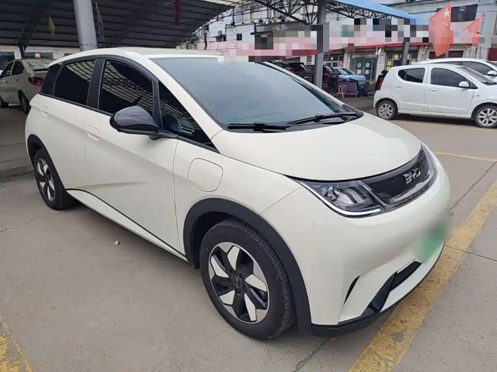 Фото 4 - BYD Dolphin