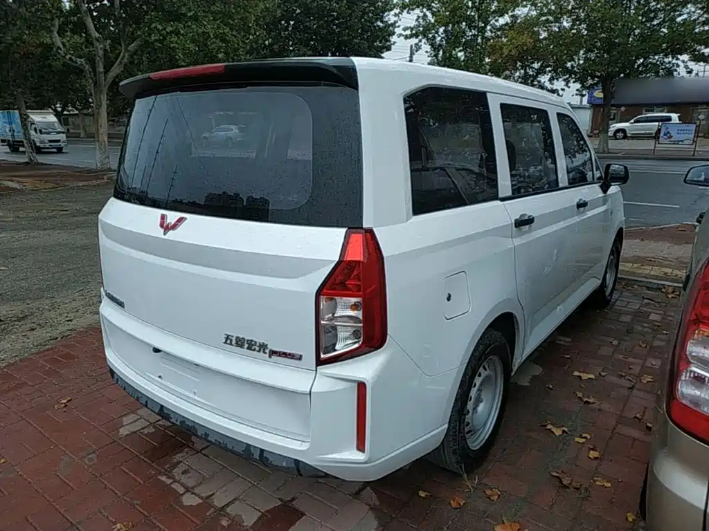صورة 7 - Wuling Motors Wuling Hongguang PLUS