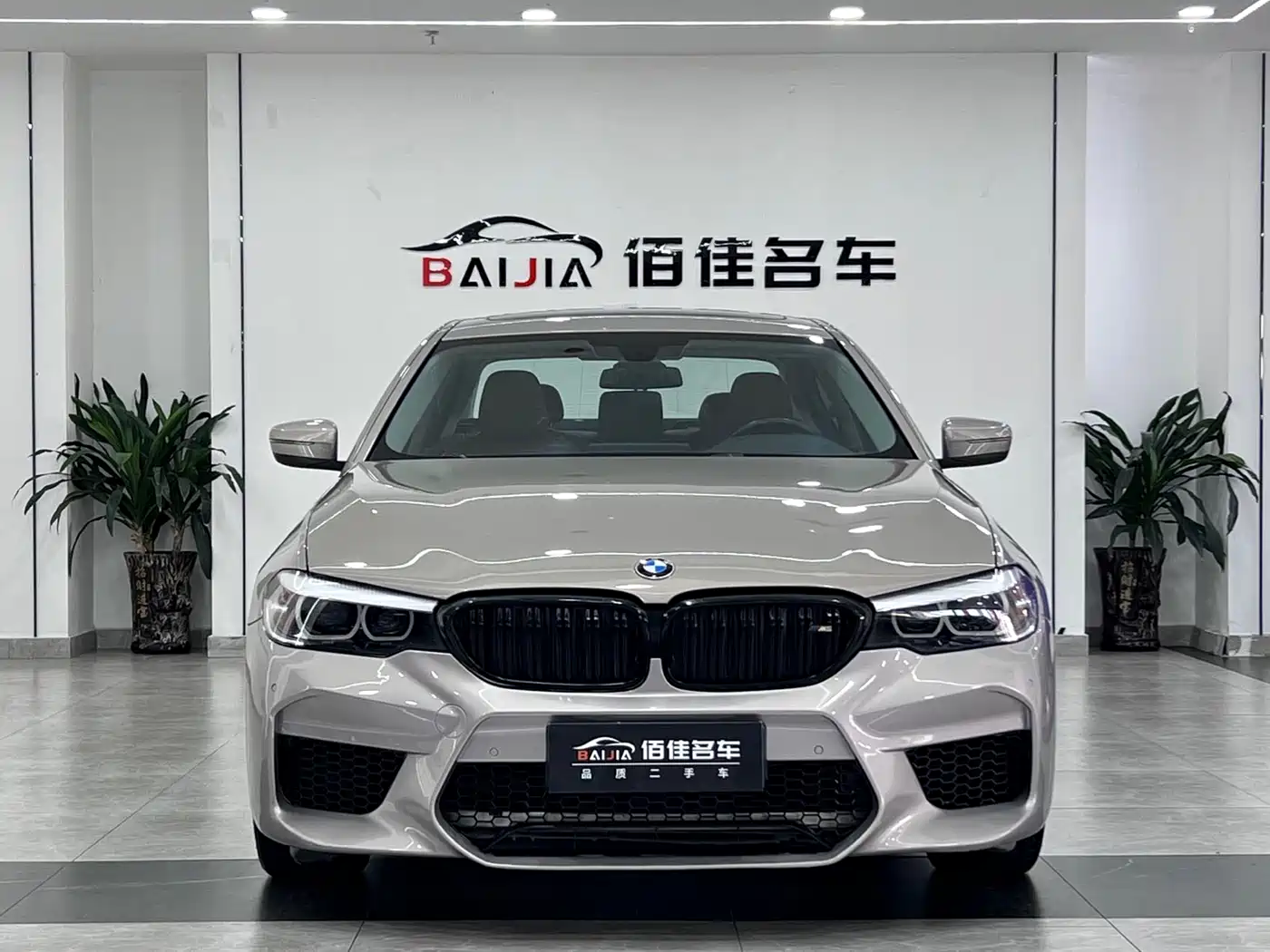 BMW 5 Series 2018 528Li Launch Special Edition фото 2