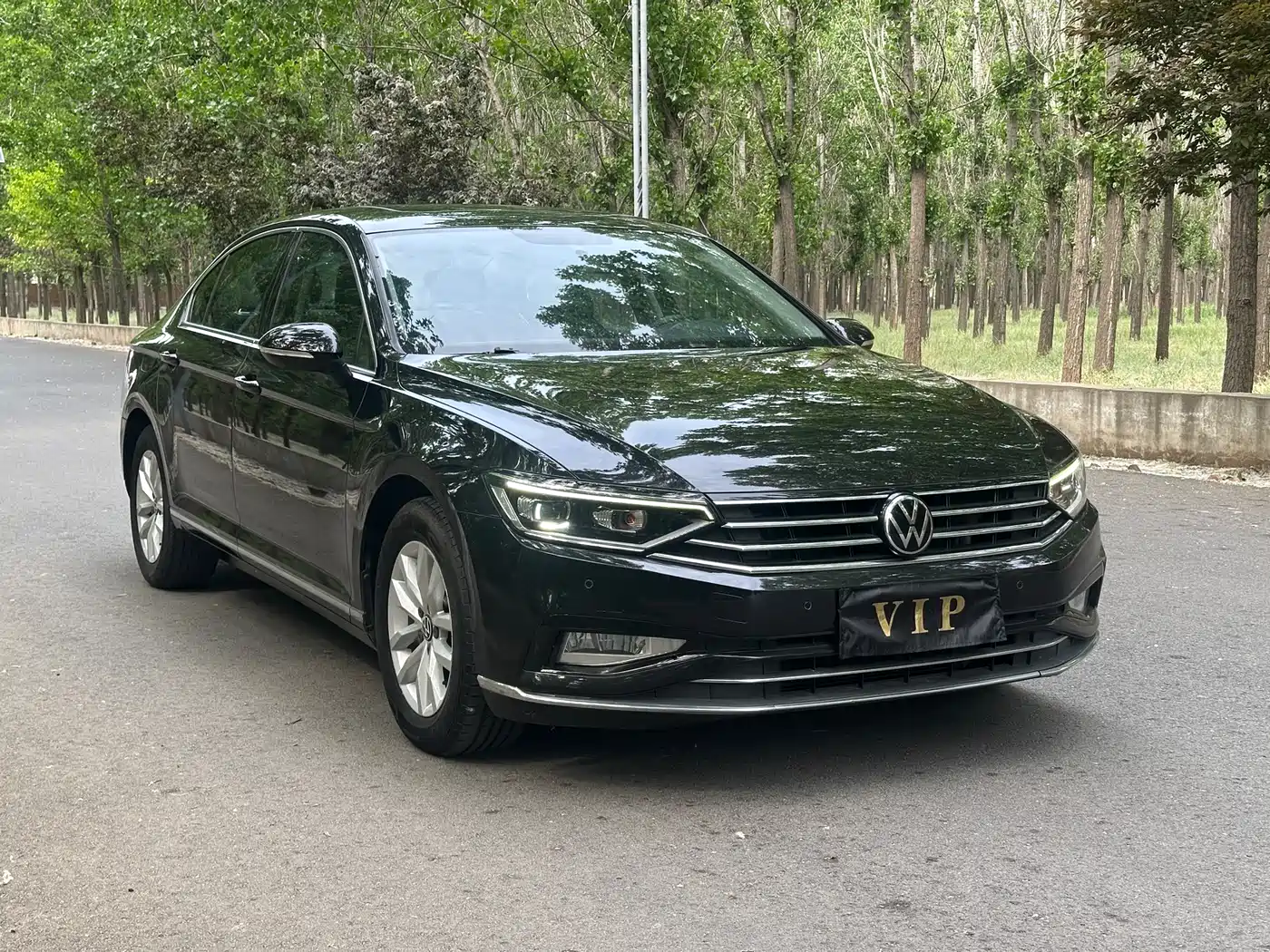 Volkswagen Magotan 2020 280TSI DSG Comfort фото 2