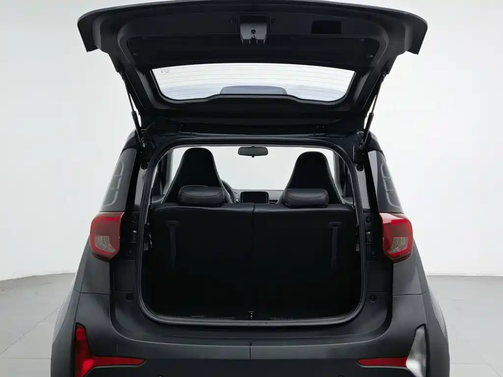 QQ New Energy Little Ant 2023 2023 251km True Love Edition LFP