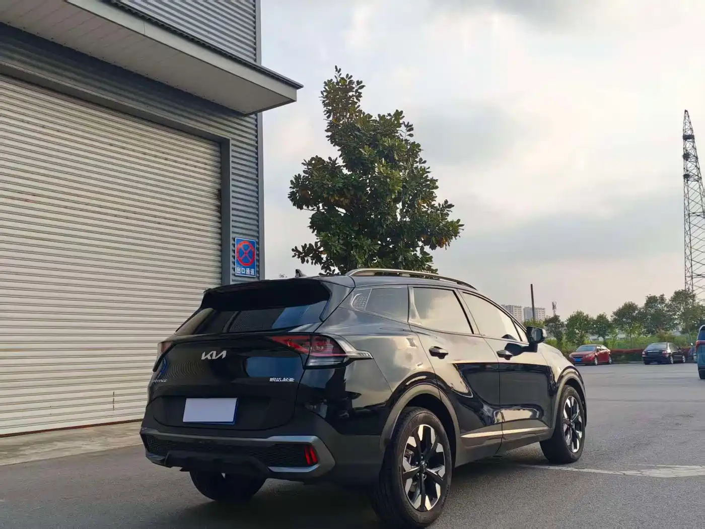KIA LION PLATINUM EXPANDS THE WORLD