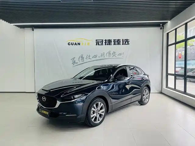 Mazda CX-30 2021 2.0L Auto Premium Joy Type
