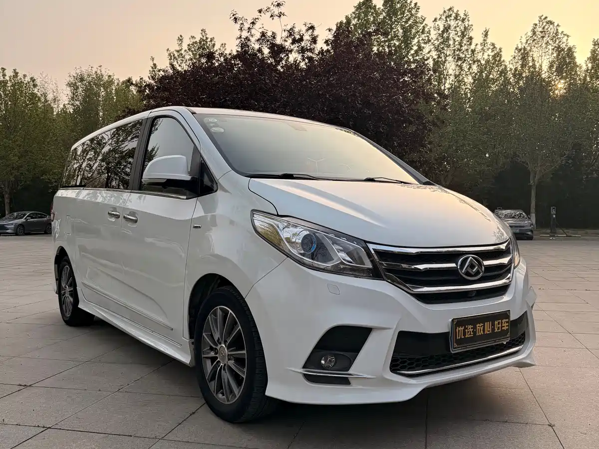 SAIC Maxus Maxus G10 2016 2.0T Automatic Luxury Executive Edition фото 13