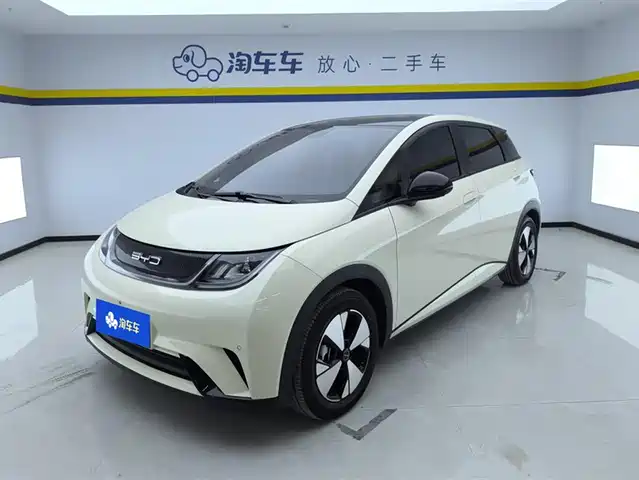 BYD DOLPHIN
