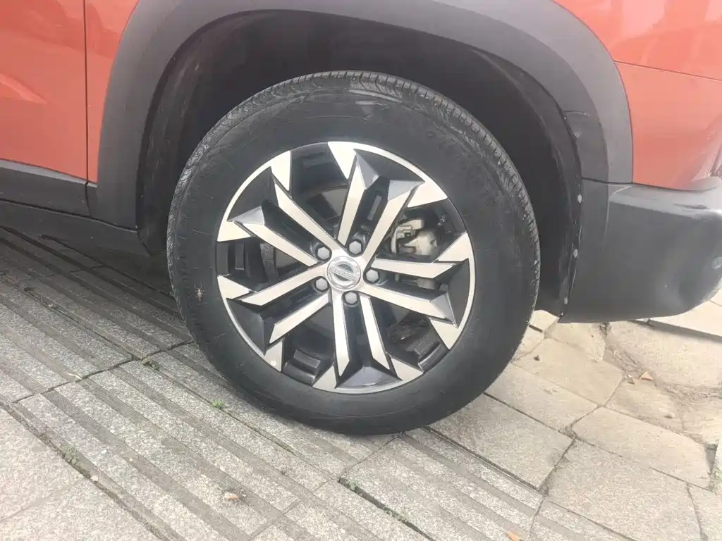 Haval Dargo 2021 2021 1.5T DCT 2WD Border Collie Edition