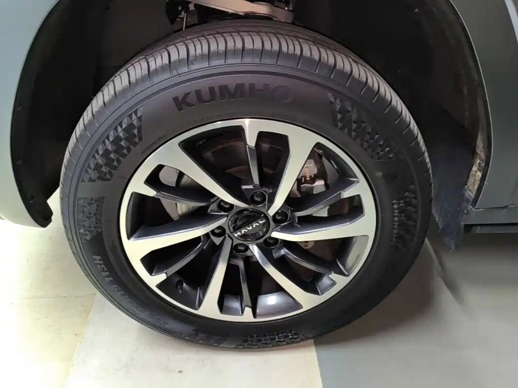Фото 23 - Haval H9