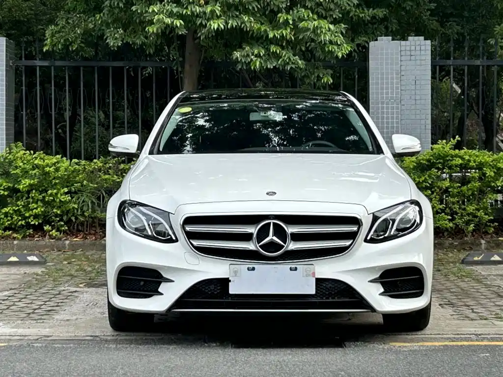 Mercedes-Benz E-Class 2019 E 300 L Sport Luxury фото 2