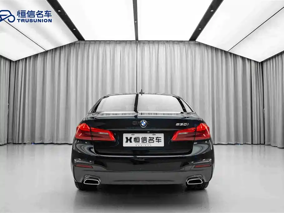 BMW 5 Series (Import) 2019 530i M Sport Package фото 6