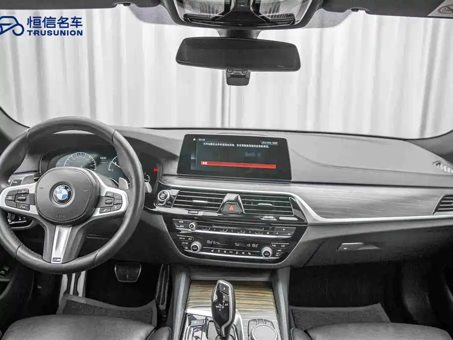 BMW 5 Series (Import) 2019 530i M Sport Package фото 13