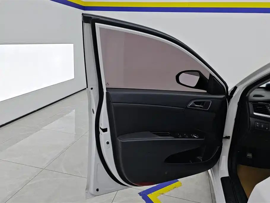 HYUNDAI NAME PICTURE