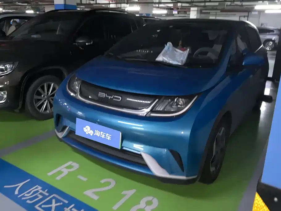 BYD Dolphin 2021 Model 405km Fashion Edition