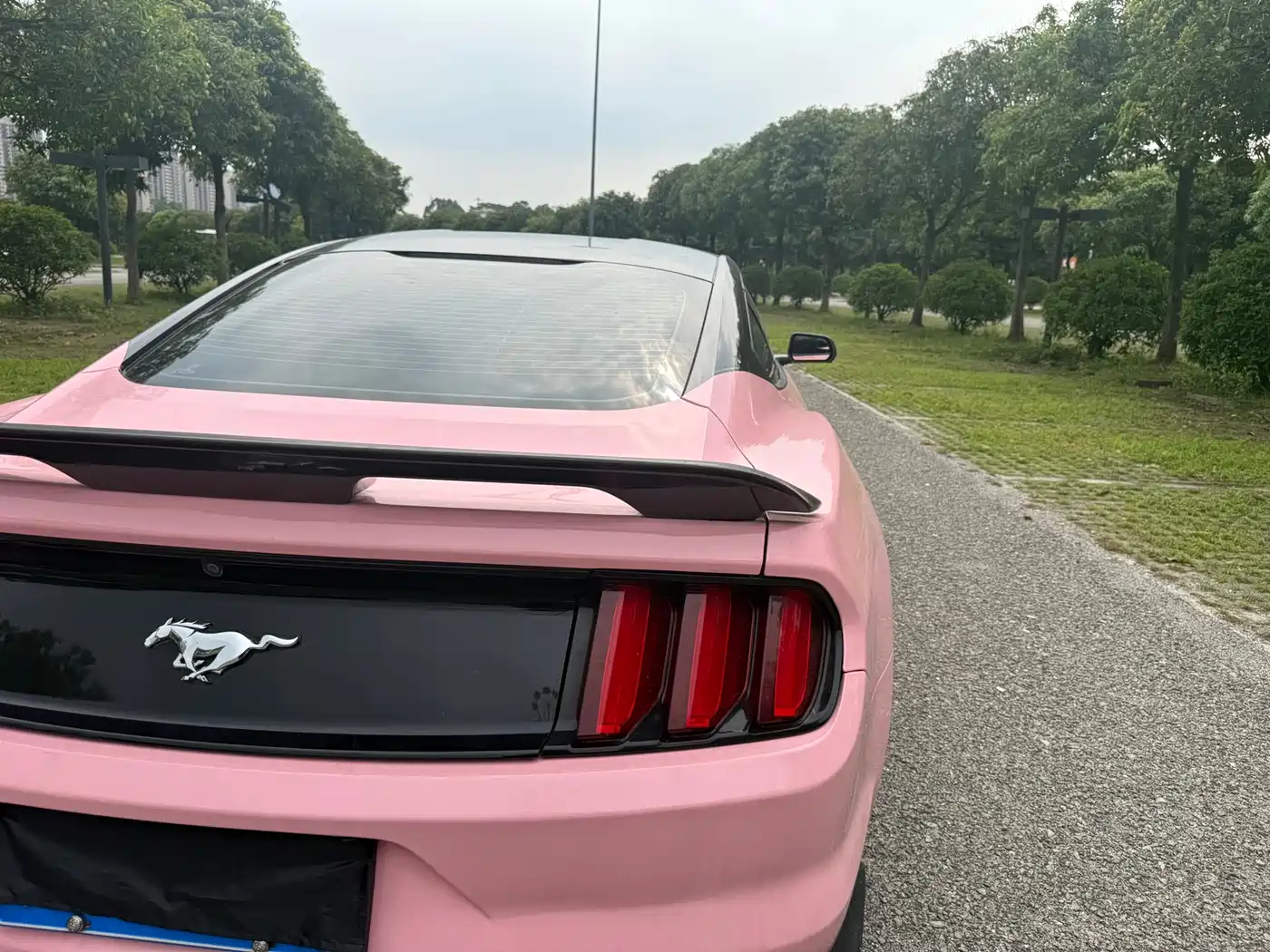 Photo 8 - Ford Mustang