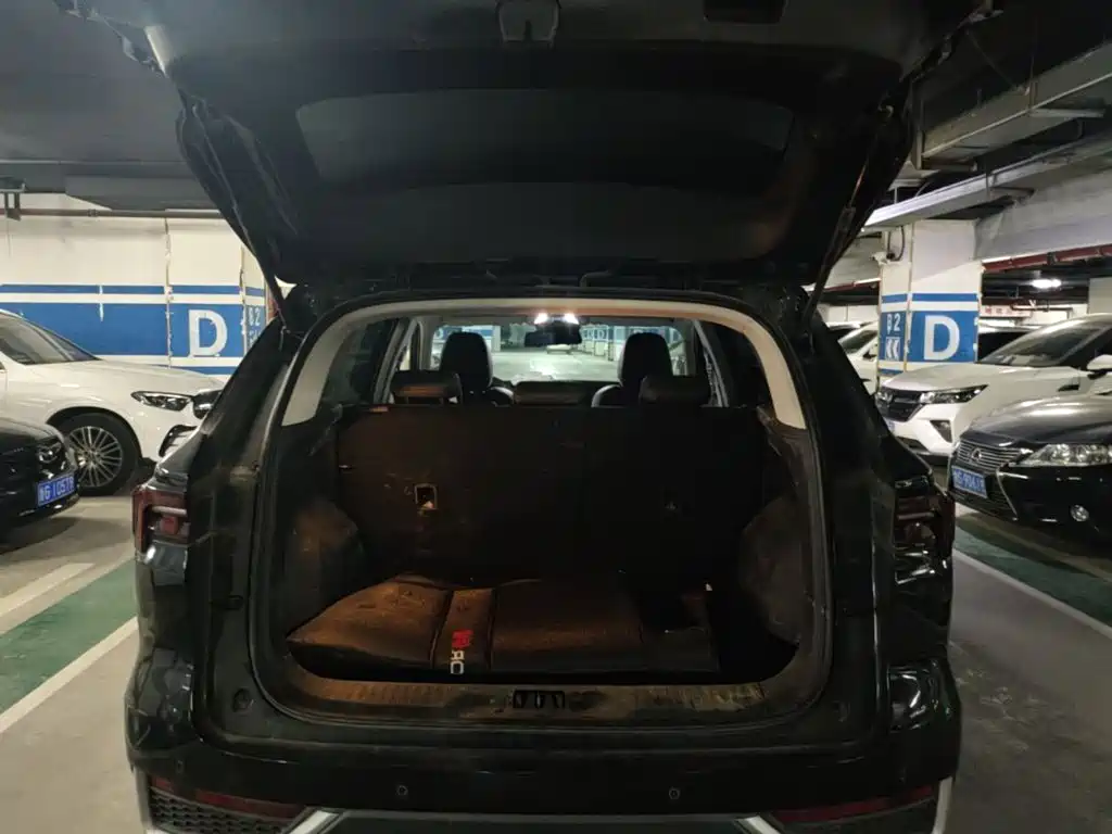 Ford Lingrui 2023 2022 EcoBoost 170 Platinum