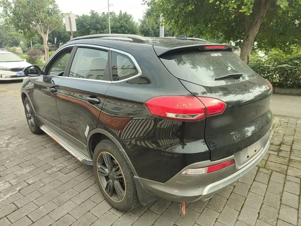 Photo 5 - Leopaard CS10