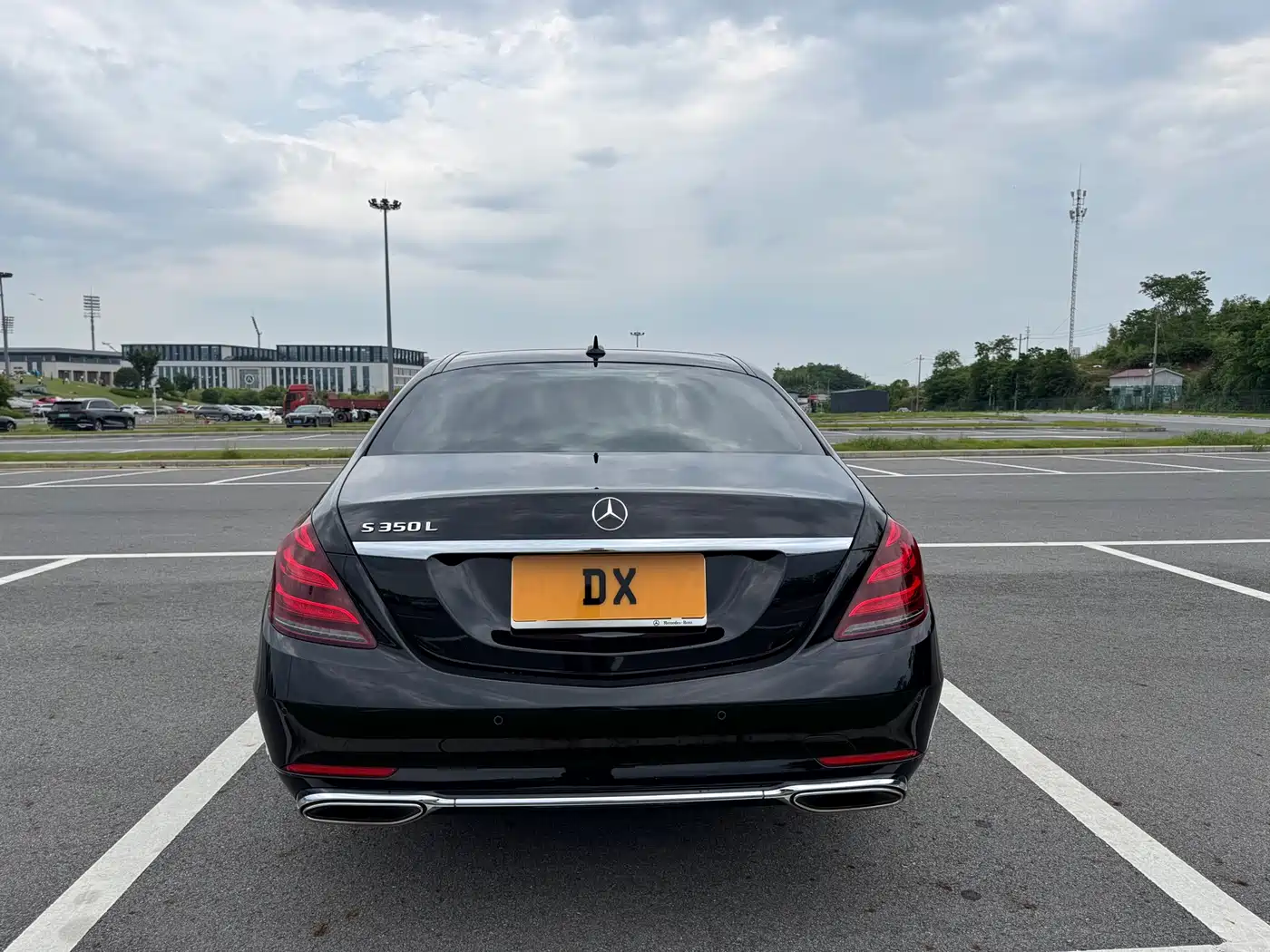 Mercedes-Benz S-Class 2020 S 350 L Premium Edition Collector's Version фото 6