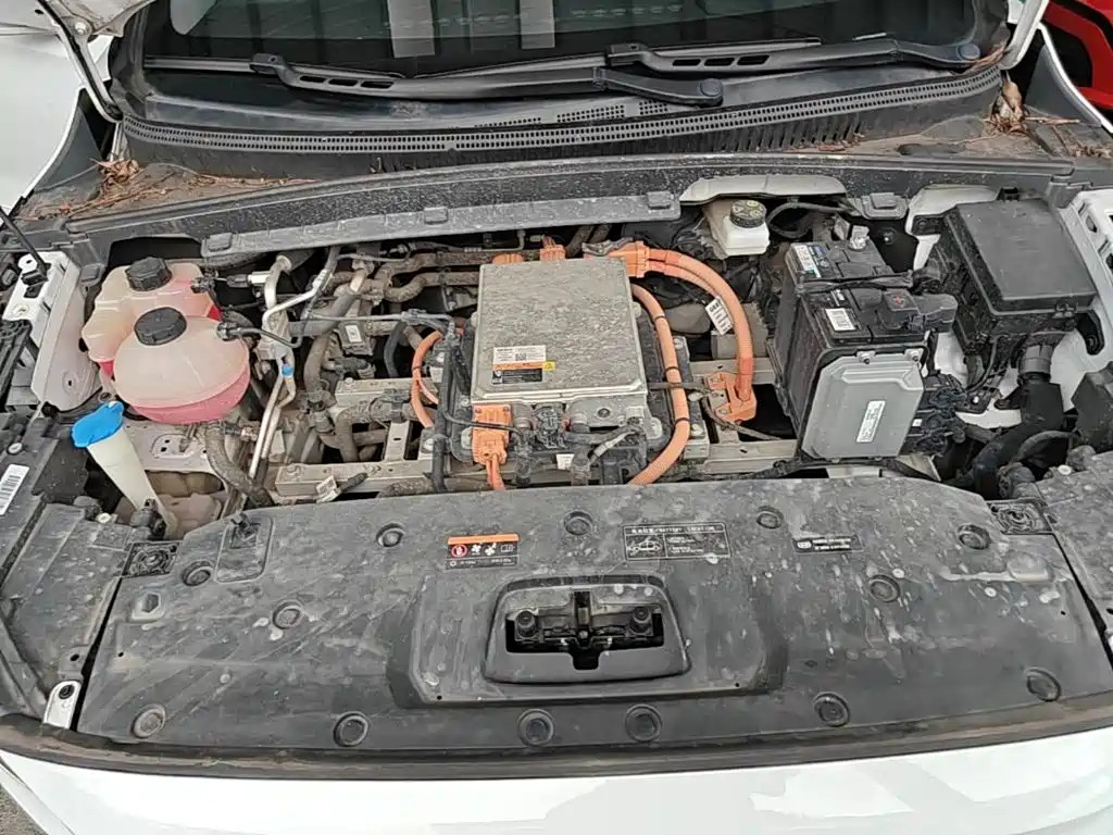 Geely Geometry C 2023 2022 Grape C550