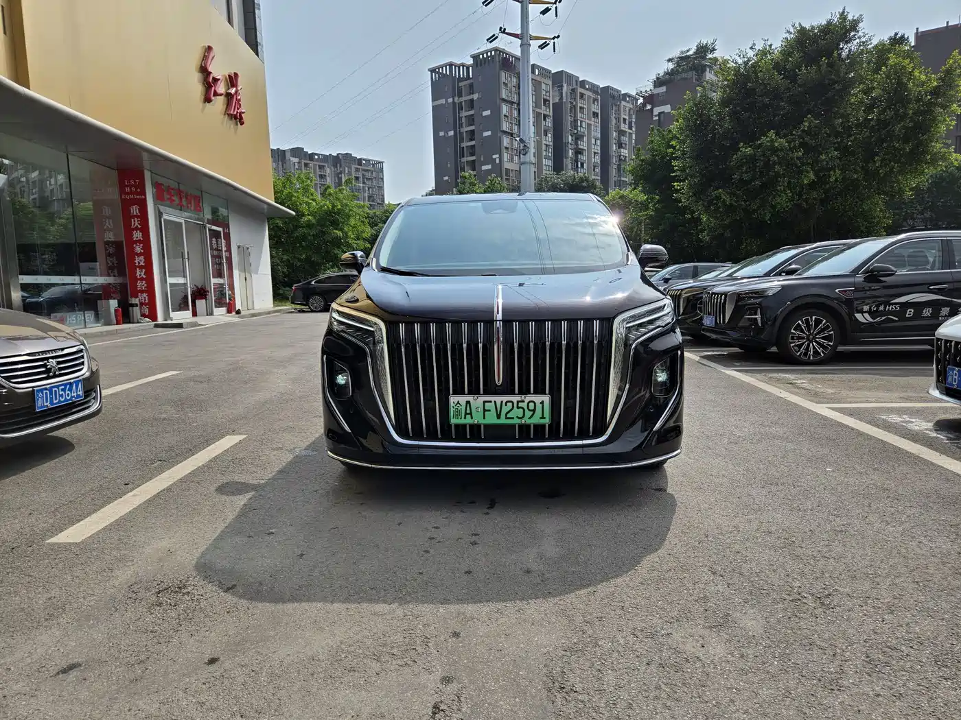 Hongqi HQ9 PHEV 2024 Model 2.0T AWD Luxury Edition фото 2