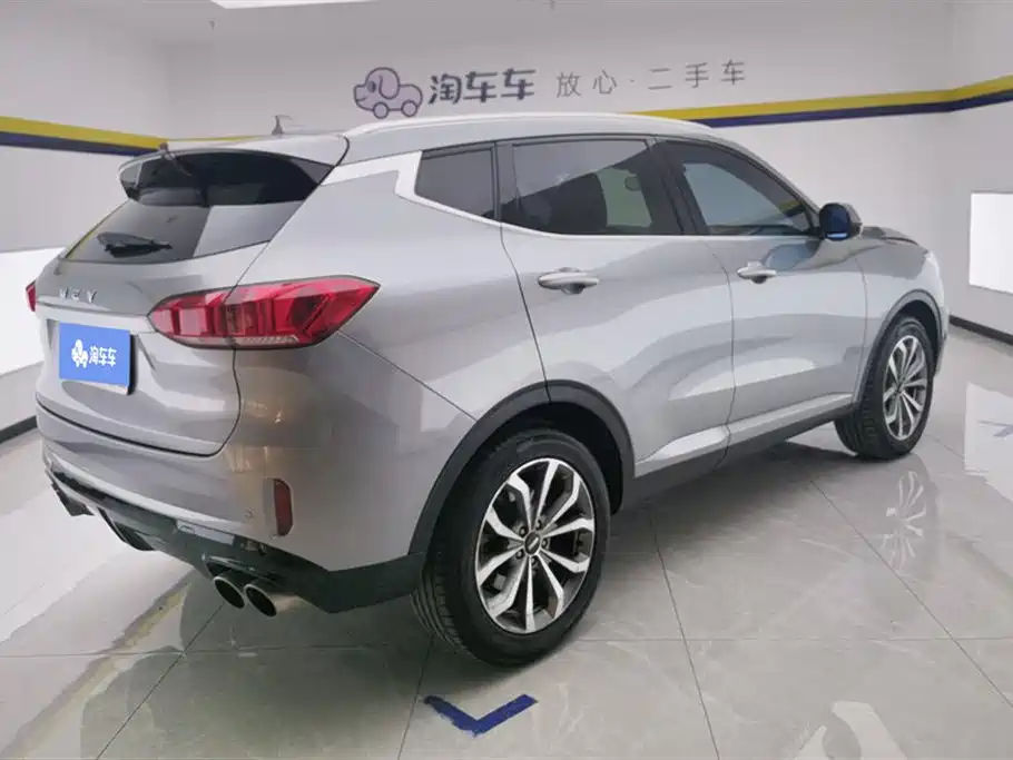 WEI PAI WEI BRAND VV6